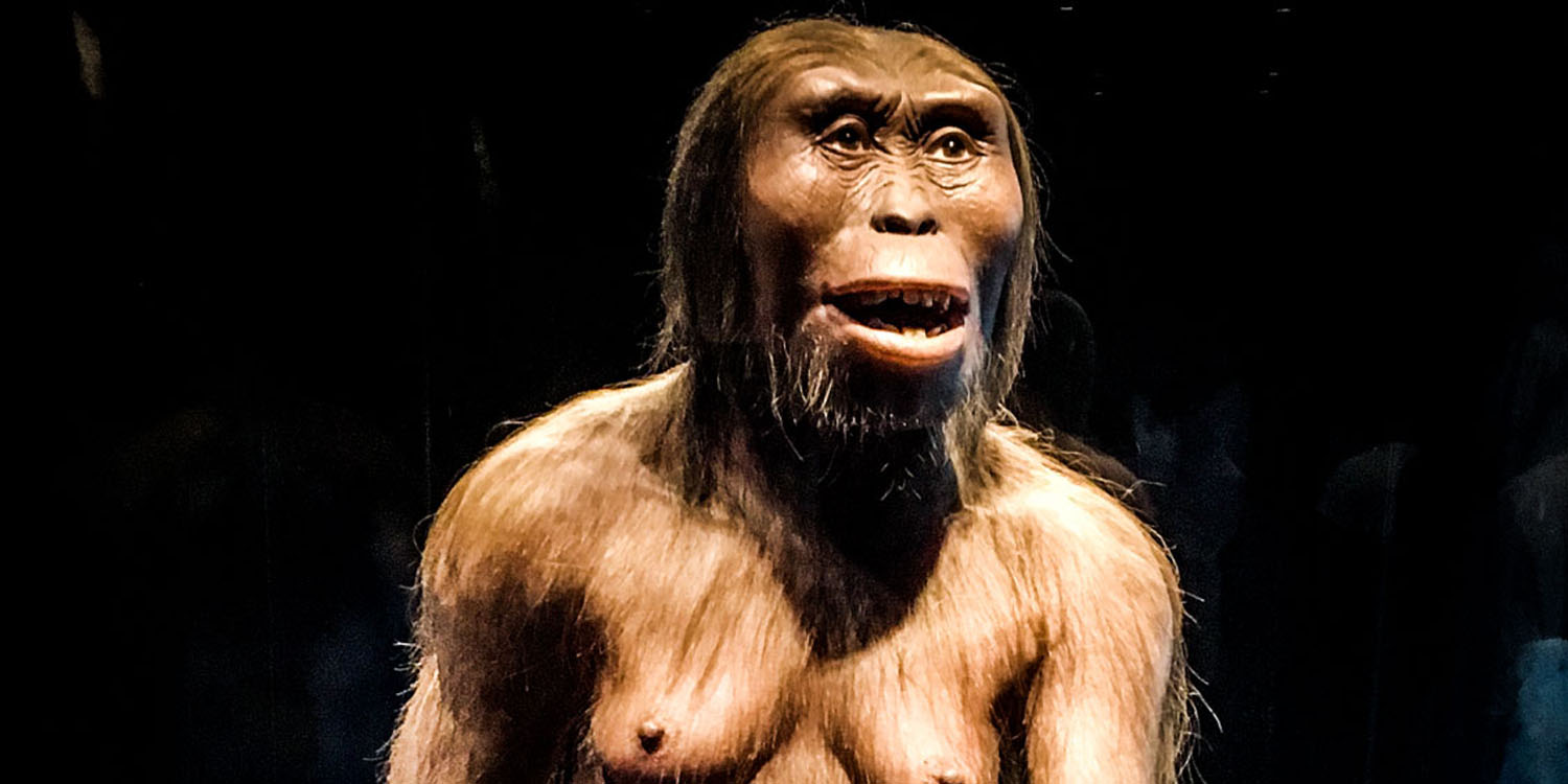 Reconstruction of Lucy at the National Museum of Anthropology in Mexico. (Photo credit: ErnestoLazaros/Wikimedia Commons)