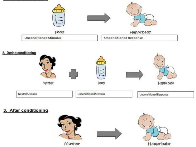 attachment conditioning